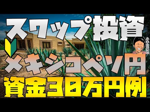 【追記あり】円高版 FX 30万円で始める メキシコペソ円スワップ投資例 利回り期待値など 2020年3月