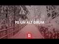 Florin Ianovici - Pe un alt drum | MISIUNEA RENOVATIO, Ploiești