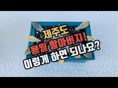 영상썸네일