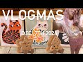 🩷VLOGMAS🩷✨Decorate My Guest Bathroom With Me//Pokémon Trading Card Show//Cozy Home Cooked Dinner✨