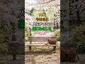 🌸 70代、やめると人生がすぐに楽になること TOP3 ✨