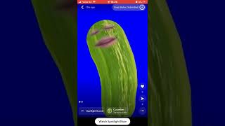 A Cucumber Sings Friends By Marshmello & Anne-Marie