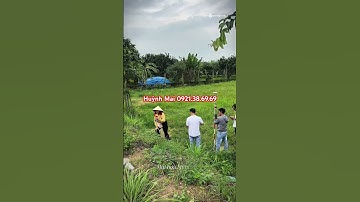 Đất vườn có sổ 12.500m2 giá 4 tỷ