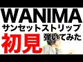 リクエスト曲!【初挑戦】1mmも知らないWANIMAのサンセットストリップを初見で弾いたらブレイクが少なくて寂しかった【初見で弾いてみた】