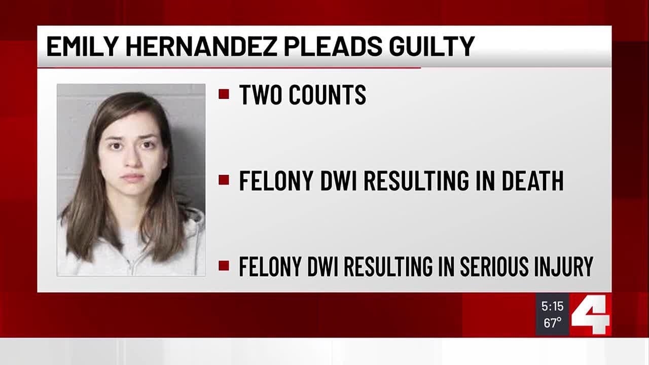 Admitted Capitol rioter pleads guilty in wrong-way crash that killed ...