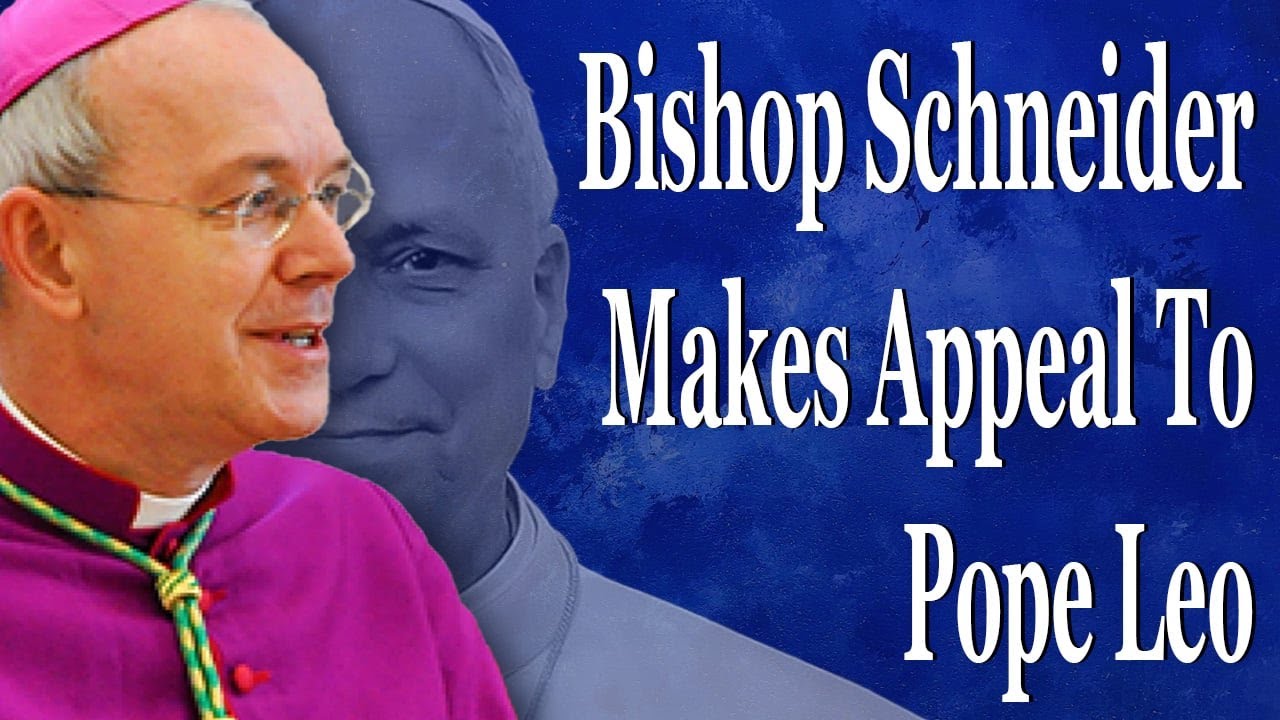 Bishop Schneider Makes Appeal To Pope Leo