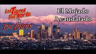 El Mojado Acaudalado-Los Tigres Del Norte Y Los Lobos