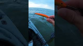 (SECRET!!) ๐ WALLEYE Trolling set up Pros donโt want you to know!! ๐ฏ