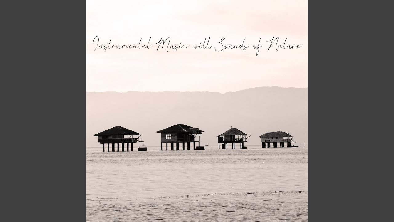 Aquatic Ambience - YouTube Music