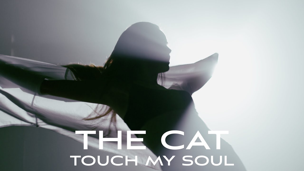 The Cat - Touch My Soul