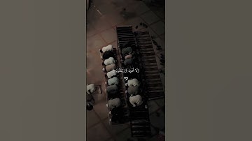 واجعلني من ورثة جنه النعيم 🌸. #ياسر_الدوسري #قرآن_كريم #سورة_الشعراء #explorer #quran #islam #fypシ