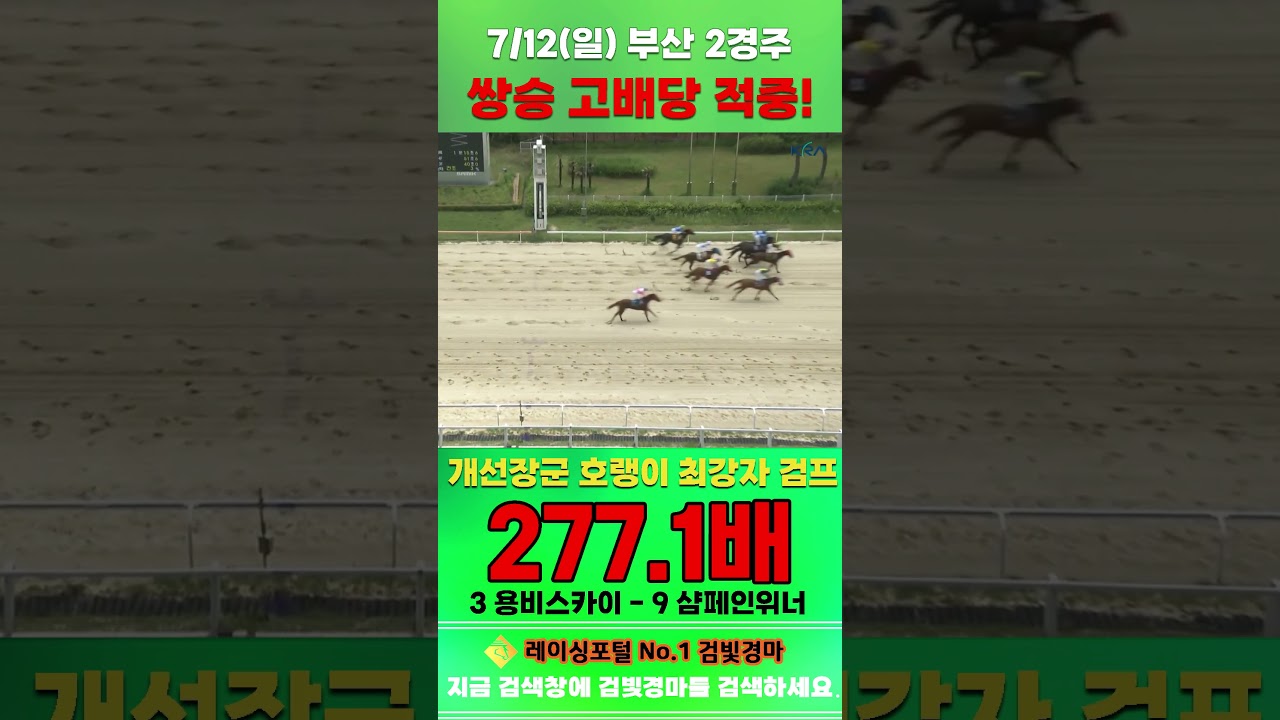 [부산 경마] 7월 12일 일요 2경주 개선장군 호랭이 최강자 검프 전문위원 쌍승 고배당 적중 #경마 #horse #한국마사회 #automobile #하이라이트 #riding