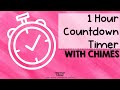 1 Hour Countdown Timer