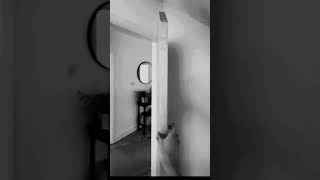 It Ain’t Stupid If It Works... Right? | Crazy Carpenter Hacks That Actually Work 🔨#youtubeshorts