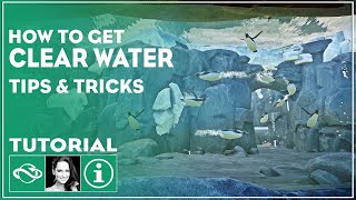 ▶ How to build a Clear Water Underwater Viewing | Planet Zoo Tutorial | Tips & Tricks |