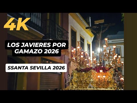 Hermandad y Cofradía de Nazarenos del Santísimo Cristo de las Almas, María Santísima de Gracia y Amparo, María Inmaculada y San Francisco Javier