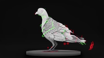 Rigreel 2025 - Bird dynamic rig maya