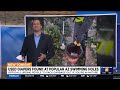 Volunteers find several pounds of diapers, waste at Arizona swimming holes