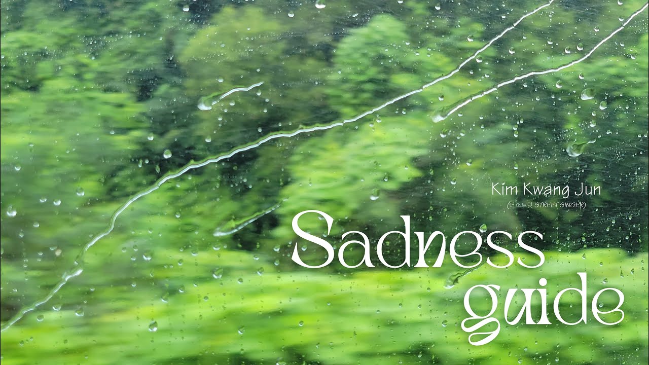 [Vietsub] Sadness Guide - Kim Kwang Jun (슬픔활용법 - Street Singer)