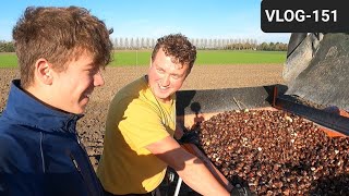 FARMVLOG #151 tulip plants, Kramp