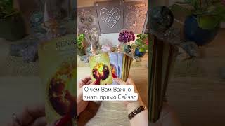О чём Вам Важно знать прямо Сейчас #таро #таролог #гадание #тарологпроводник #таросила #tarot #love