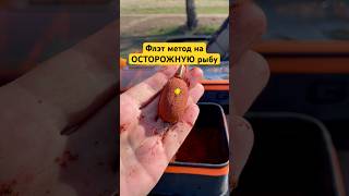 ✅Скользящий монтаж! #рыбалка #рыба #флэтфидер #флэт #флэтметод #карп #сазан #белыйамур