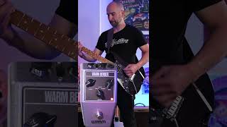 Warm Audio Warm Bender Fuzz Pedal: Tone Bender Clone! #guitar #guitarplayer