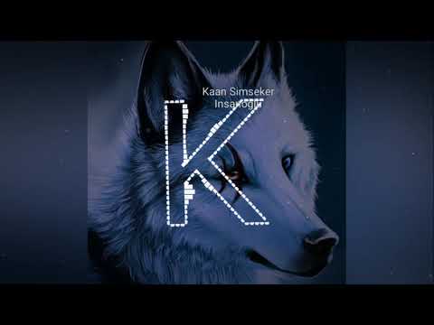 Kaan Simseker - Insanoglu