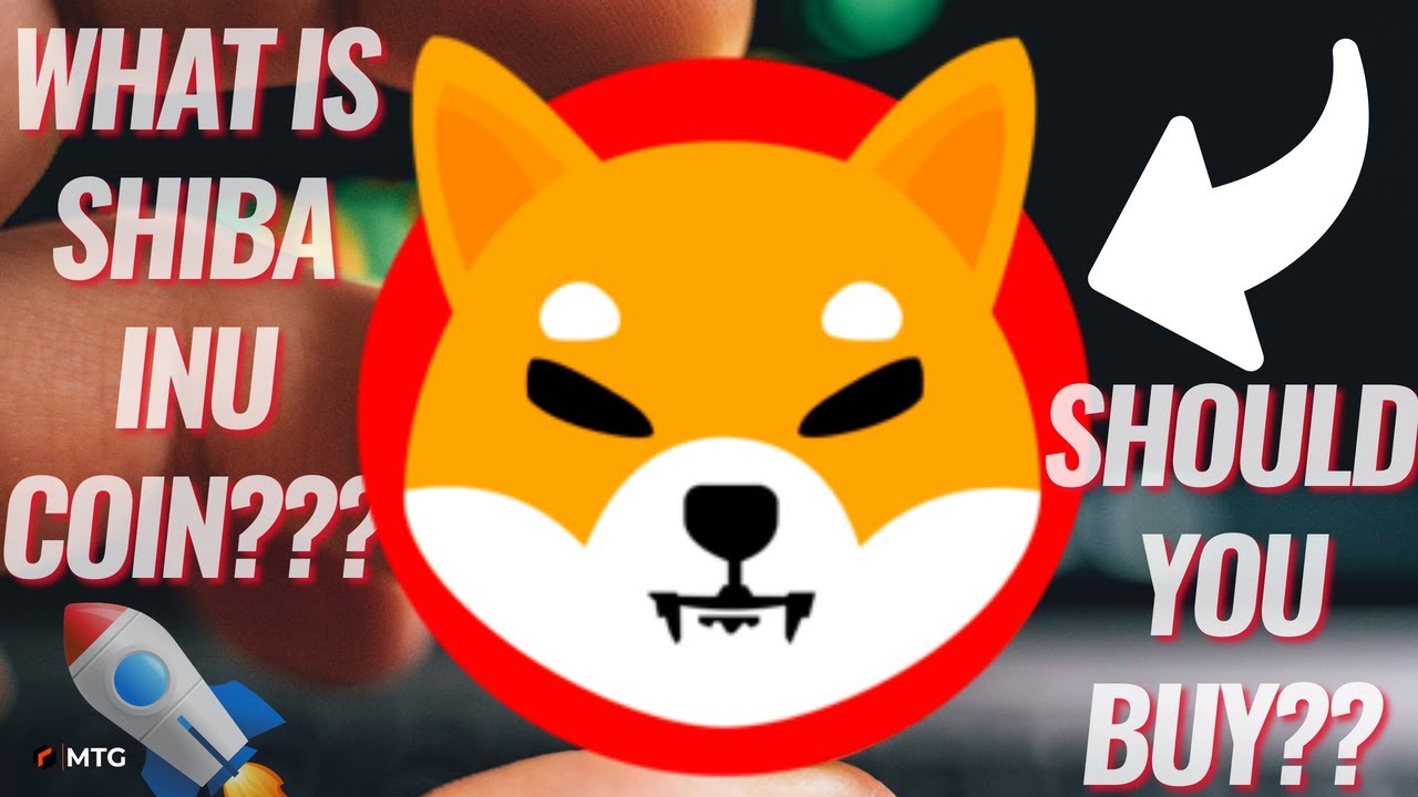 What is the SHIBA INU COIN and SHOULD YOU BUY in 2021?? 🚀