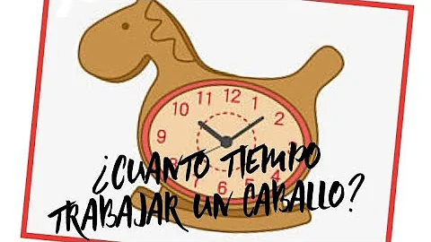 ¿Cuánto tiempo hay que trabajar con un caballo al día?