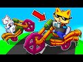 SBLOCCO LA NUOVA MOTO SEGRETA DI WOBBLY LIFE CON DRCAT! IL VEICOLO PIÙ RARO DI TUTTO IL GIOCO?!