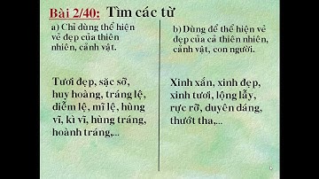 LTVC lớp 4  Mở rộng vốn từ Cái đẹp   trang 40