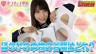 本物の谷間はどれ？ 榎本ほのか編