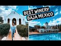 ADOBE GUADALUPE  |  Our Favorite WINERY in VALLE DE GUADALUPE  |  Ensenada, Mexico
