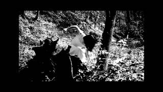 Trailer for Hotblood