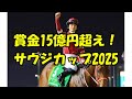 サウジカップ2025 賞金1000万ドル #フォーエバーヤング #坂井瑠星 #世界の矢作 #藤田晋 #ウマ娘