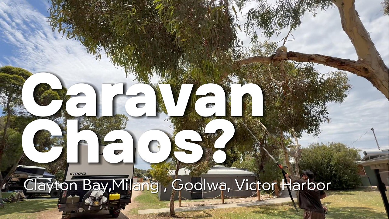 OUR CLOSEST CALL! 🐍 Snake Encounter Caravan Adventures in Clayton Bay Caravan Park  ELE RV Caravan 