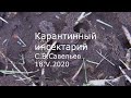 С.В. Савельев - Карантинный инсектарий