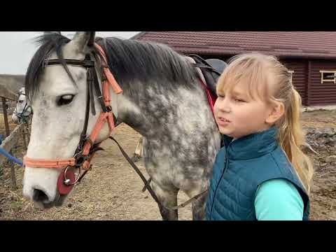 Алиса будет заниматься КОННЫМ СПОРТОМ в центре отдыха ГРИНЛАНДИЯ !