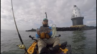 50 TAUTOG IN ONE DAY!!! ALL DAY Action That Would Make Anyone Sore!!! Lewes, De - Rock Wall