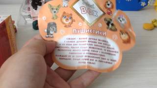 Пушистики Sweet box распаковка коробочки №1 собачка Пушистики Sweet box распаковка коробочки №1 собачка