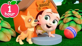 Bingo Song | Newborn Version | Newborn Baby Songs & Nursery Rhymes