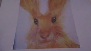 Wise Whiskers The Old Hare Of The North- Original poem and art work