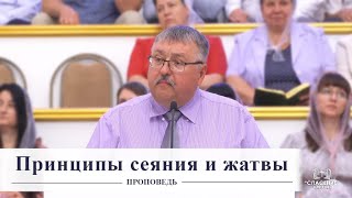 Принципы сеяния и жатвы / Проповедь