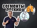 Как определять сегменты легких на рентгенограмме? | Рентгенология