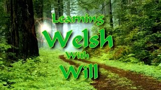 Learn Welsh with Will Ep 16: Numbers and Counting in Welsh