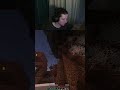 В ПОИСКАХ ПОРШНЯ) #twitch #tiktok #shorts #reels #minecraft #майнкрафт #сборка #стрим #gaming