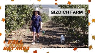 Gizdich Ranch and Farm | Fall in the Bay Area | Road Trip Vlog | September 2022
