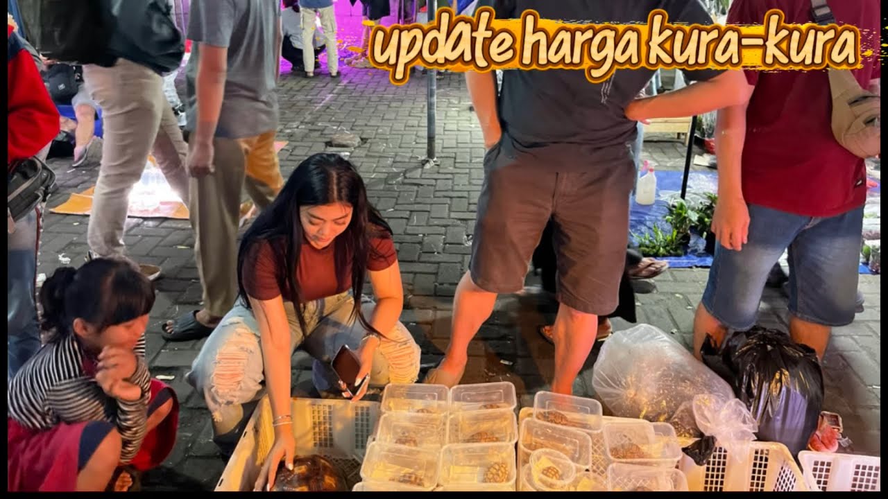 berapa harga kura-kura di pasar jatinegara 