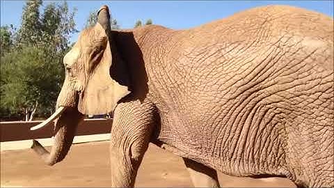 Class 4, EVS, Chapter -2, Ear To Ear PART - 1